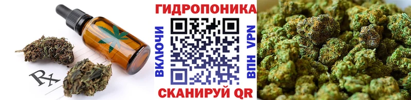 shop наркотические препараты  купить  сайты  Кукмор  Canna-Cookies марихуана 