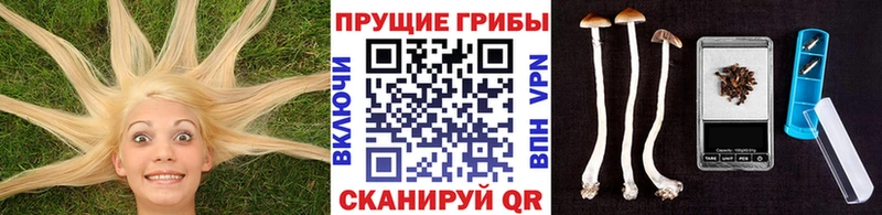 Галлюциногенные грибы ЛСД  Кукмор 